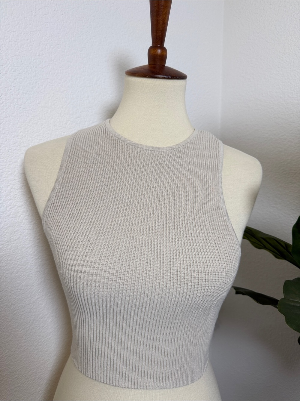 Aritzia Ribbed Knit Crew Neck - Picture 2 of 12